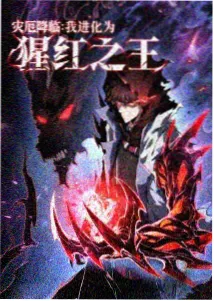 言峰绮礼 角色卡